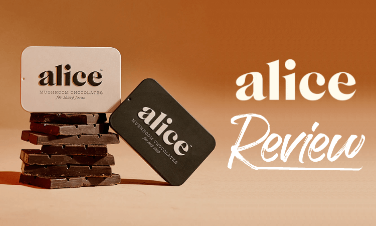 Alice Mushrooms Review: Enhance Your Wellness with Gourmet Chocolates